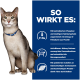 Graue Katze mit blauem Halsband neben einer blauen Tafel mit der Überschrift 'SO WIRKT ES:' mit Symbolen und deutschem Text über P&Na und Nierenschutz.