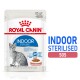 Torebka karmy dla kotów Royal Canin Indoor Sterilised, z szarym kotem tabby, z tekstem podkreślającym 'Indoor Sterilised' i '85 g/r'.