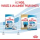 Image des produits alimentaires pour animaux de compagnie Royal Canin, présentant des formules "Starter" et "Puppy" pour les grandes races, avec un texte conseillant de changer de nourriture à 2 mois.