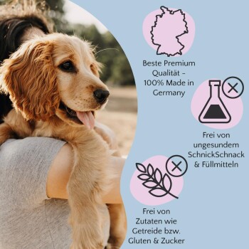 Eine Person hält einen Golden Retriever Welpen, mit Text, der hochwertiges Haustierfutter aus Deutschland hervorhebt, frei von ungesunden Zusatzstoffen und Gluten.