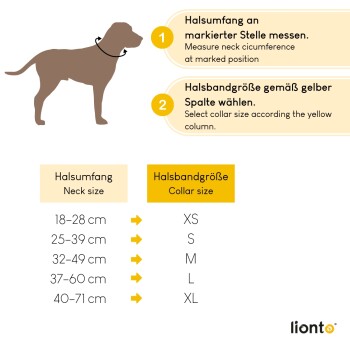 Hunde-Halsband-Größentabelle mit Maßanweisungen; zeigt Halsgrößen (18-71 cm) und entsprechende Halsbandgrößen (XS-XL).
