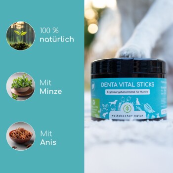 DENTA VITAL STICKS Hundefutterergänzungsglas mit dem Text "100% natürlich," "Mit Minze," und "Mit Anis," mit einem Pfotenabdruck im Hintergrund.