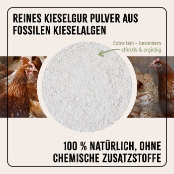 Reines Kieselgur-Pulver aus fossilen Kieselalgen, extra fein, 100% natürlich, ohne chemische Zusatzstoffe, mit Hühnern im Hintergrund.
