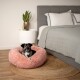 Ein schwarz-grauer Hund sitzt bequem in einem flauschigen rosa Haustierbett auf einem Holzboden, mit einem grauen Bett und Nachttisch im Hintergrund.