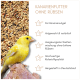 Gelber Kanarienvogel mit einem Teller Samenmischung, beschriftet mit "KANARIENFUTTER OHNE RÜBSEN" für alle Kanarienvögel.