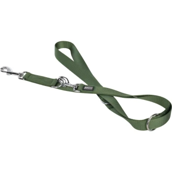 Green dog leash with metal clips and rings, featuring a durable design for pet safety and control.
