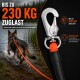 Hund watet an einer orangefarbenen Leine, Nahaufnahme eines Metall-Schnapphakens; sichtbarer Text 'BIS ZU 230 KG ZUGLAST' (bis zu 230 kg Zuglast).