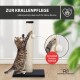 Eine verspielte getigerte Katze dehnt sich auf einem Sisal-Kratzbaum mit einem hängenden Ball und Text über Krallenpflege und platzsparendes Design.