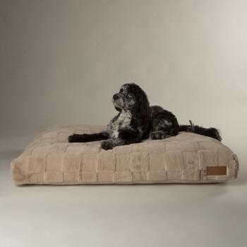 Oxford Orthopaedic Mattress beige XL