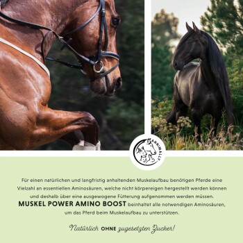 Zwei Pferde, eines braun und eines schwarz, bewerben "Muskel Power Amino Boost" für Muskelentwicklung mit essentiellen Aminosäuren und ohne Zuckerzusatz.