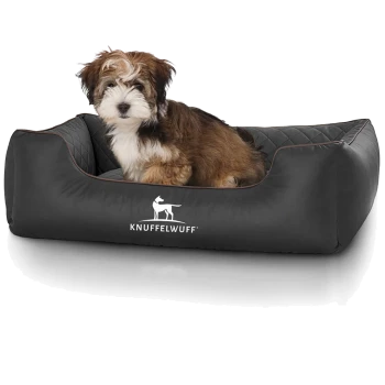 Flauschiger braun-weißer Welpe sitzt in einem schwarzen, gesteppten Hundebett mit erhöhten Seiten; vorne ist das weiße 'KNUFFELWUFF'-Logo sichtbar.