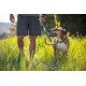 Ruffwear Chain Reaction™ Halsband grau L