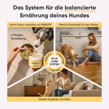 Tierarzt hält einen kleinen Hund und hebt die Vorteile von Milo & Mia Haustierfutter hervor: sanft zum Magen, Gelenkgesundheit und Haut & Fell. VETMED geprüft Logo.