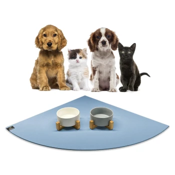 Eine Gruppe von vier Haustieren, darunter zwei Hunde, eine flauschige Katze und eine schwarze Katze, sitzt vor einer blauen Fressmatte mit zwei Schalen.