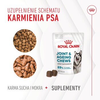 Royal Canin Joint & Ageing Chews dla psów, z torbą z wizerunkiem husky, obok suchej i mokrej karmy dla psów, z tekstem w języku polskim.