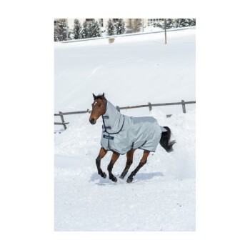Ein braunes Pferd, das eine hellgraue Winterdecke trägt, läuft verspielt durch tiefen Schnee, mit Bäumen und einem Gebäude im Hintergrund.