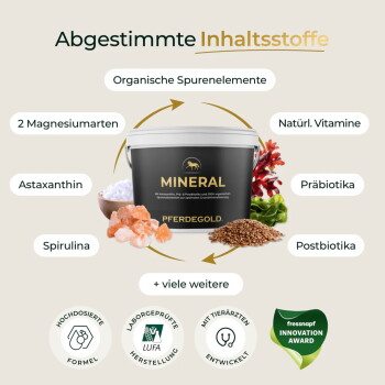 Schwarzer Eimer mit "Pferdegold" Pferdefutter, aus dem Pellets herausfallen, mit Text über die Vorteile: unterstützt das Mineralgleichgewicht, glänzendes Fell und den Stoffwechsel.