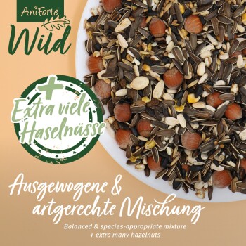 Nahaufnahme von Vogelfutter und Haselnüssen auf einem weißen Teller, mit "AniForte Wild" und "+ Extra viele Haselnüsse" in grün.