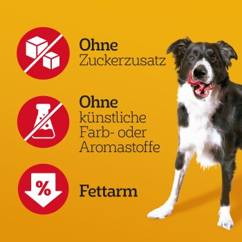 Schwarz-weißer Hund neben deutschen Produktangaben: 'Ohne Zuckerzusatz; Ohne künstliche Farb- oder Aromastoffe; Fettarm.'