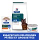 Hill's Prescription Diet Diabetes Care pour chats : nourriture sèche et humide avec un modèle de chat. Texte : 'ESSAYEZ NOS DÉLICIEUSES PÂTÉES ET CROQUETTES.'