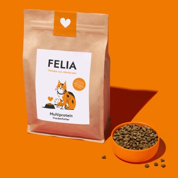 Eine Tüte FELIA Multiprotein-Hundefutter mit einem Cartoon-Fuchs, neben einer orangefarbenen Schüssel mit Kroketten auf einem orangefarbenen Hintergrund.