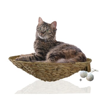 ® runde Katzenmulde für Wandmontage, Kletterwand-Element mit Gratis-Spielballset