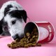 Ein neugieriger Hund schnüffelt an einem verschütteten Haufen goldbrauner Haustierleckerlis aus einem roten Behälter mit der Aufschrift "Gelenk Drops" auf einem rosa Hintergrund.