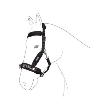 Schwarzes Pferdehalfter mit verstellbaren Riemen und Metallbeschlägen, dargestellt auf einer einfachen Umrisszeichnung eines Pferdekopfes.