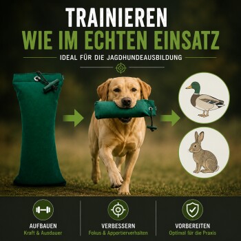 Golden Retriever sitzt auf Gras und hält im Freien ein türkisfarbenes Hundespielzeug im Maul.