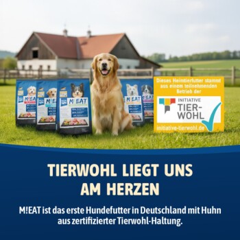 Golden Retriever sitzt auf Gras mit M!EAT Hundefuttertüten und einem Schild über zertifizierten Tierschutz auf Deutsch.