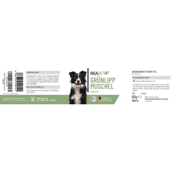 Ein verspielter Hund plantscht durch flaches Wasser, mit dem Text 'MIT EXPERTEN ENTWICKELT' und Details zur Expertenentwicklung in Deutschland.
