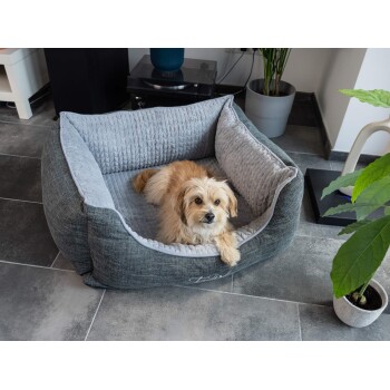 Ein gemütliches graues Haustierbett mit einem weichen, strukturierten Innenraum, belegt von einem kleinen Hund, der bequem ruht.