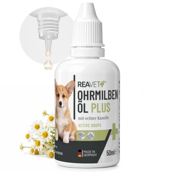 Nahaufnahme eines Hundesohres mit einer Pipette darüber, die Öl zeigt. Text: "Öl täglich im Ohr auftragen und einmassieren." Symbol für kein Zecken vorhanden.
