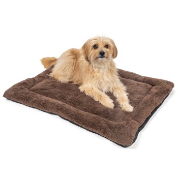 Ein flauschiger goldener Hund ruht auf einem weichen, braunen Haustierbett mit plüschiger Textur, vor einem schwarzen Hintergrund.