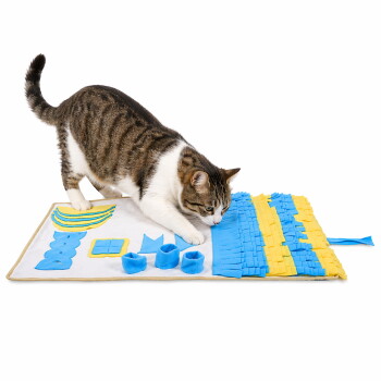 Getigert-weiße Katze schnuppert und stupst mit der Pfote an einer blau-gelben Schnüffel-Puzzlematte auf weißem Hintergrund.