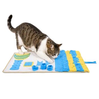Getigert-weiße Katze schnuppert und stupst mit der Pfote an einer blau-gelben Schnüffel-Puzzlematte auf weißem Hintergrund.