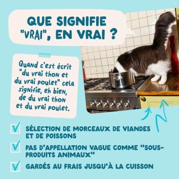 Chat sur une cuisinière inspectant une casserole à côté d'un texte en français : « QUE SIGNIFIE "VRAI", EN VRAI ? » et une liste de contrôle concernant la viande et le poisson réels.