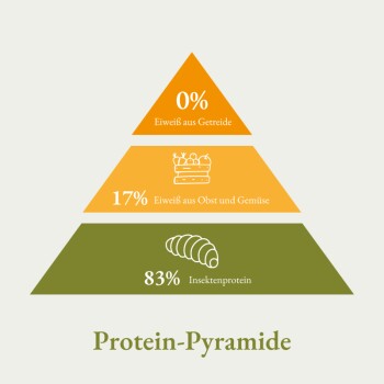 Infografik, die eine Proteinpyramide mit 0% Getreideprotein, 17% Obst- und Gemüseprotein und 83% Insektenprotein zeigt, beschriftet mit "Protein-Pyramide."
