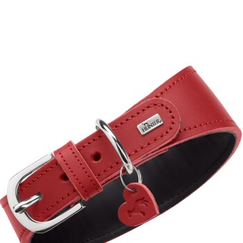 Rotes Leder-Hundehalsband mit silberner Schnalle und D‑Ring, herzförmigem Anhänger, Metallplakette mit der Aufschrift „HUNTER“
