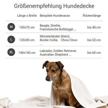 Beige Hundedecke von Doctor Bark beschriftet mit "sauber | hygienisch | pflegeleicht," mit Waschhinweisen bis 95°C und empfohlenem Lufttrocknen.