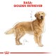 Golden Retriever Adult 2x12 kg
