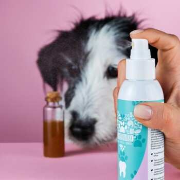 Tierliebhaber Dentalspray für Hunde und Katzen 150ml