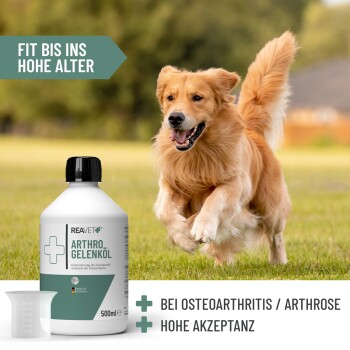 Ein Hund hält eine Metallschüssel im Mund, mit einer grünen und weißen Box, die Fütterungshinweise zeigt: "Fütterungsempfehlung Je 10kg: 2ml pro Tag."