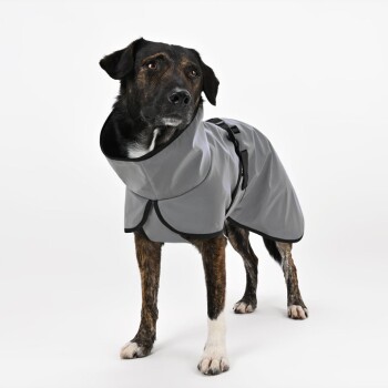 Xxxs dog coat store