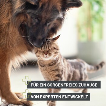 Ein Deutscher Schäferhund schmiegt sich sanft an eine zufriedene getigerte Katze, mit deutschem Text über fachmännisch entwickelte Pflege.