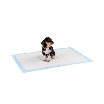 Ein kleiner schwarz-brauner Hund sitzt auf einer blauen Welpentrainingsmatte und schaut zur Seite.