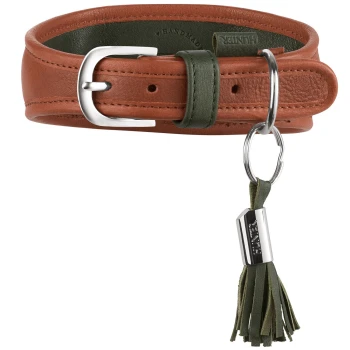 Braunes Lederhalsband für Hunde mit grüner Schlaufe und Quaste, silberner Schnalle und Ring; Metallanhänger mit der Aufschrift 'HUNTER'.