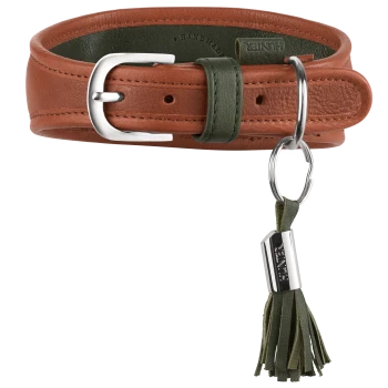 Braunes Lederhalsband für Hunde mit grüner Schlaufe und Quaste, silberner Schnalle und Ring; Metallanhänger mit der Aufschrift 'HUNTER'.