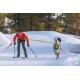 Eine Person in einer orangefarbenen Jacke fährt auf einem verschneiten Weg Ski und zieht fröhlich einen laufenden Hund in einem hellgelben Geschirr.
