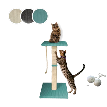 Zwei Katzen interagieren mit einem türkisfarbenen und naturfarbenen Katzenbaum, der einen Kratzbaum und eine obere Plattform hat.